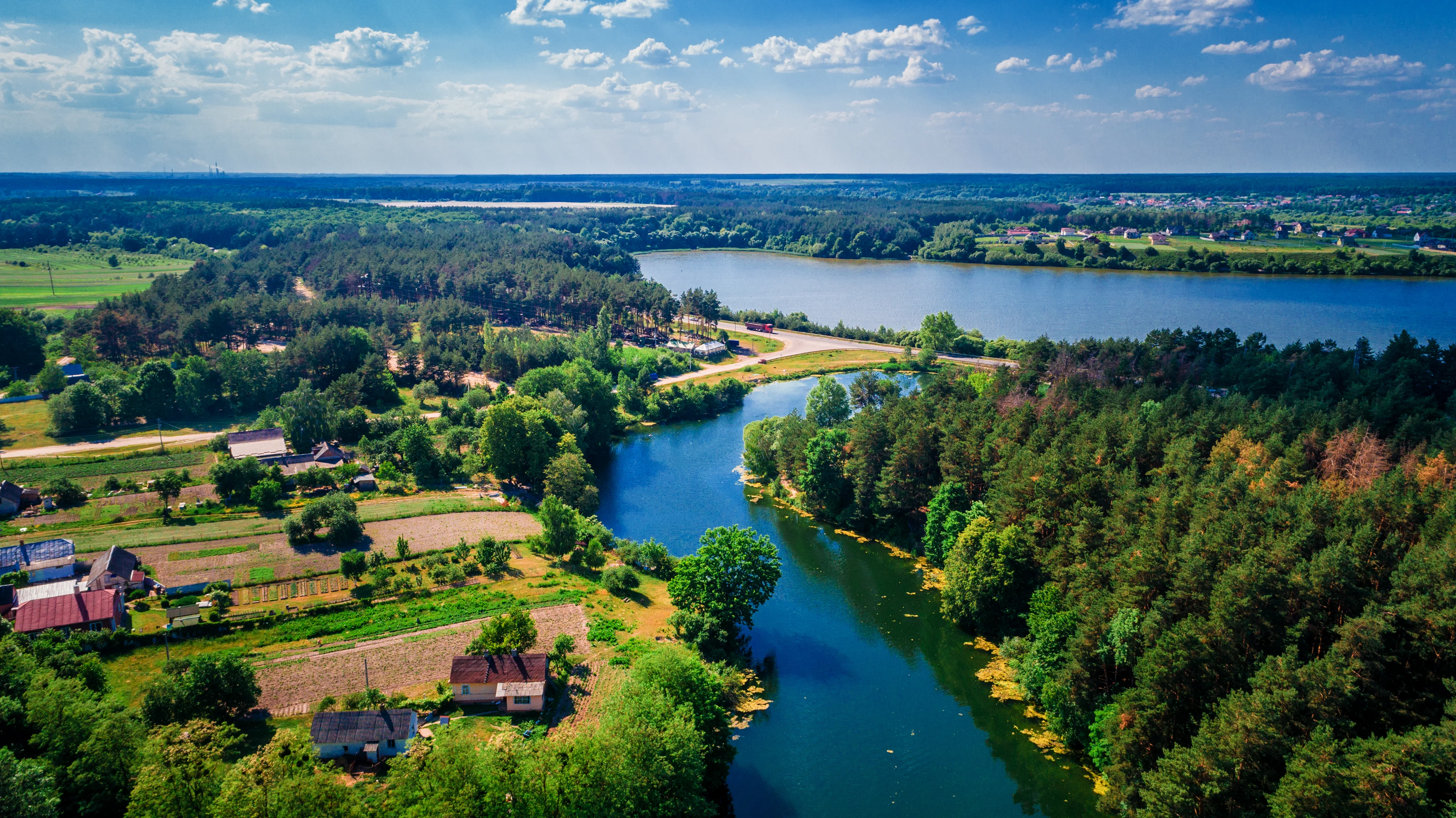 Puszcza Białowieska